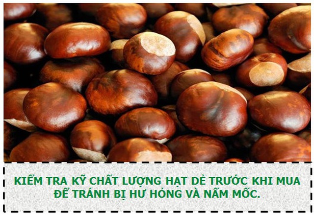 Những điều cần lưu ý khi ăn hạt dẻ để tránh gây hại cho sức khỏe - 5 Những điều cần lưu ý khi ăn hạt dẻ để tránh gây hại cho sức khỏe - 5