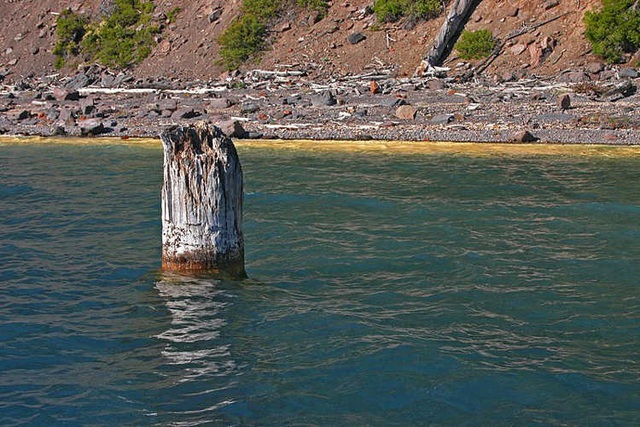 Khúc gỗ “thách thức” mọi định luật vật lý, nổi trên mặt nước suốt trăm năm không phân hủy - 2