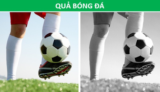 Vì sao vạch qua đường màu trắng còn lốp xe lại luôn có màu đen? - 5 Vì sao vạch qua đường màu trắng còn lốp xe lại luôn có màu đen? - 5