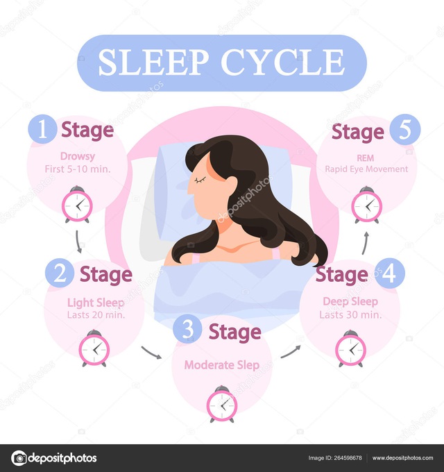 Bộ não sẽ tự “rửa sạch” các chất độc khi chúng ta ngủ theo đúng nghĩa đen - 1