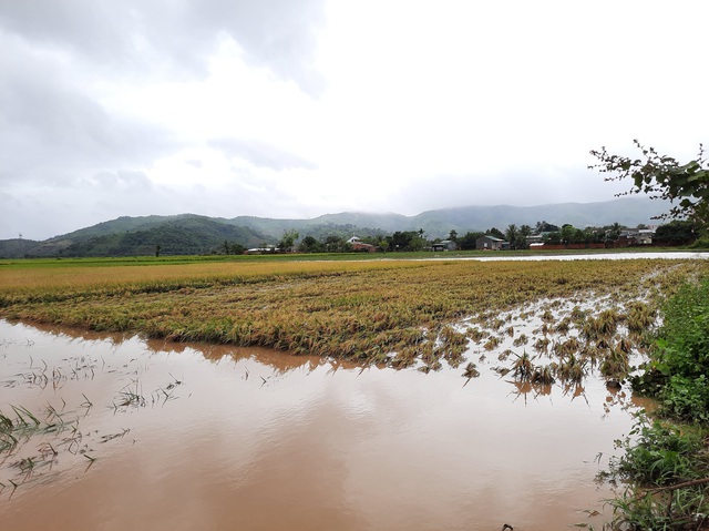 Đắk Lắk: Trên 400 nhà dân và 2.600 héc ta hoa màu bị chìm trong biển nước - 2
