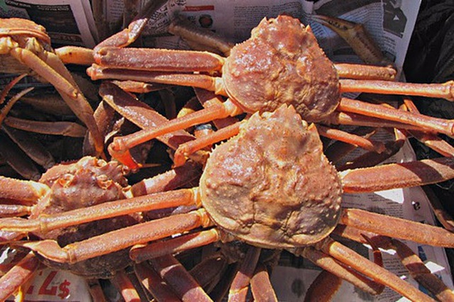 Ăn 1 con cua lạ giá 1 chỉ vàng, ngả mũ chơi sang của nhà giàu Việt - 1 Ăn 1 con cua lạ giá 1 chỉ vàng, ngả mũ chơi sang của nhà giàu Việt - 1