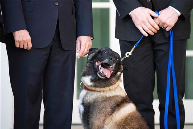 &Ocirc;ng Trump tiếp &ldquo;đặc vụ 4 ch&acirc;n&rdquo; trong chiến dịch ti&ecirc;u diệt thủ lĩnh IS - 2