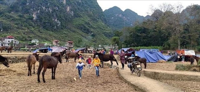Dân dựng lán ngủ ngoài đồng sau nhiều trận động đất liên tiếp - 3