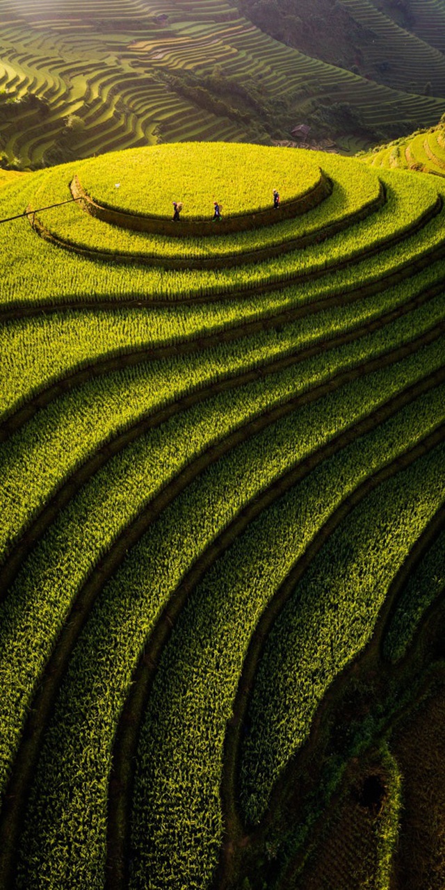 Việt Nam trong những khoảnh khắc nhiếp ảnh “panorama” đẹp nhất thế giới năm 2019 - 4