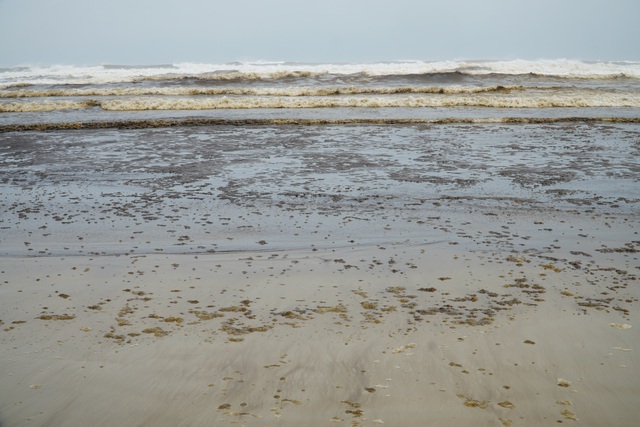 Đ&atilde; x&aacute;c định được nguy&ecirc;n nh&acirc;n l&agrave;m nước biển đổi m&agrave;u - 1