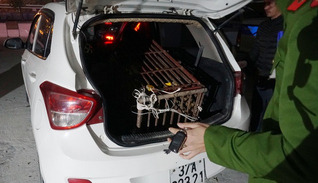 Gấu ngựa nặng 140kg bị nhét trong cốp xe taxi - 1 Gấu ngựa nặng 140kg bị nhét trong cốp xe taxi - 1