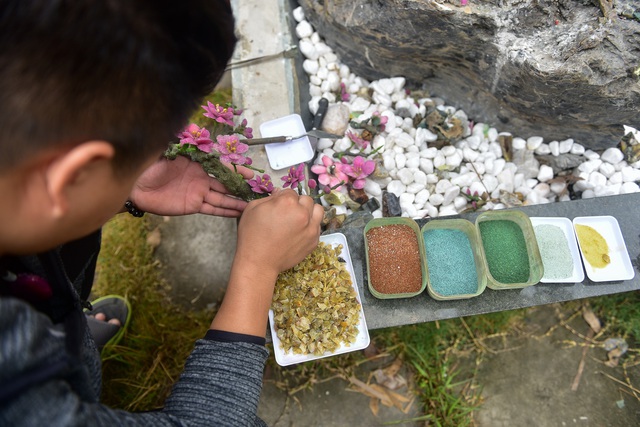 H&agrave; Nội: Chi nửa tỷ đồng vẫn chưa mua được c&acirc;y đ&agrave;o l&agrave;m bằng đ&aacute; qu&yacute; - 9