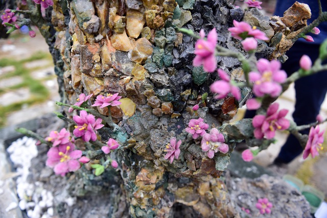 H&agrave; Nội: Chi nửa tỷ đồng vẫn chưa mua được c&acirc;y đ&agrave;o l&agrave;m bằng đ&aacute; qu&yacute; - 15