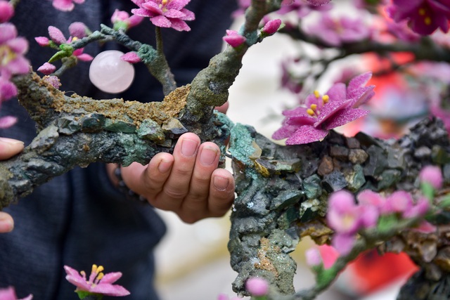 H&agrave; Nội: Chi nửa tỷ đồng vẫn chưa mua được c&acirc;y đ&agrave;o l&agrave;m bằng đ&aacute; qu&yacute; - 14