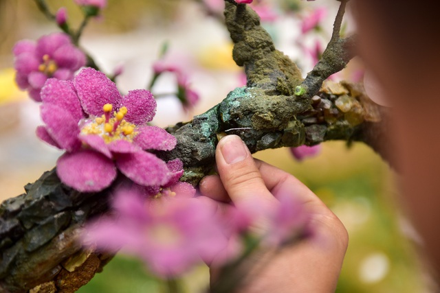 H&agrave; Nội: Chi nửa tỷ đồng vẫn chưa mua được c&acirc;y đ&agrave;o l&agrave;m bằng đ&aacute; qu&yacute; - 16