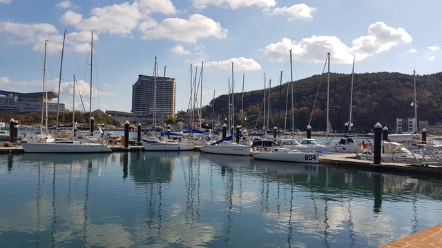 Đến Busan phải thử cà phê chả cá Goraesa, hàu sống Tongyeong - 1 Đến Busan phải thử cà phê chả cá Goraesa, hàu sống Tongyeong - 1