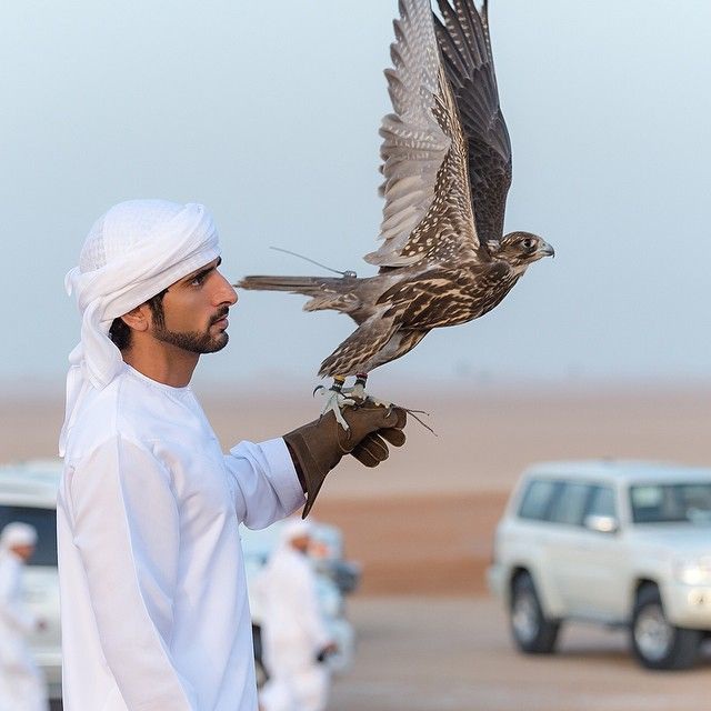 4 điều đặc biệt thú vị về cuộc sống của Thái tử Dubai - 1 4 điều đặc biệt thú vị về cuộc sống của Thái tử Dubai - 1