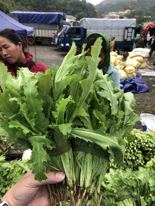 Cây anh túc được bày bán công khai nơi chợ biên giới Lào - Việt - 7