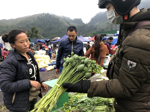 Cây anh túc được bày bán công khai nơi chợ biên giới Lào - Việt - 5