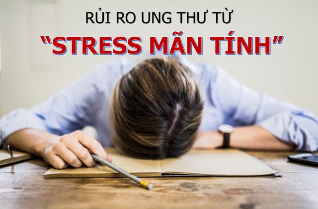 Stress kéo dài “nuôi dưỡng” mầm mống ung thư - 1