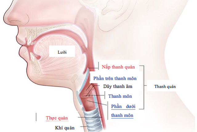 Khàn tiếng kéo dài khi nào là dấu hiệu của ung thư thanh quản? - 1