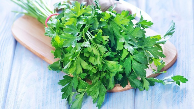 Lợi ích tuyệt vời của rau mùi tây tới sức khỏe - 1 Lợi ích tuyệt vời của rau mùi tây tới sức khỏe - 1