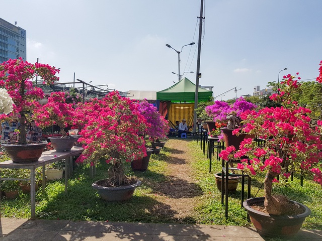 Du khách xúng xính “check-in” chợ hoa xuân Đà Nẵng - 1