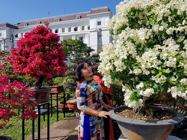 Du khách xúng xính “check-in” chợ hoa xuân Đà Nẵng - 2