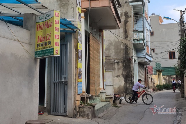 L&agrave;ng doanh nh&acirc;n nức tiếng một thời, bất ngờ biến th&agrave;nh l&agrave;ng tiểu hổ - 1