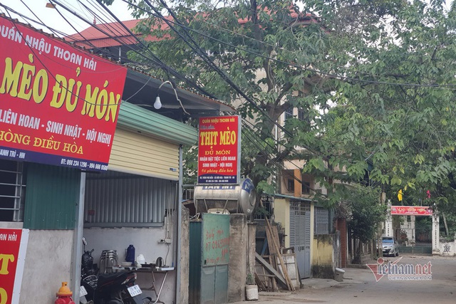 L&agrave;ng doanh nh&acirc;n nức tiếng một thời, bất ngờ biến th&agrave;nh l&agrave;ng tiểu hổ - 3