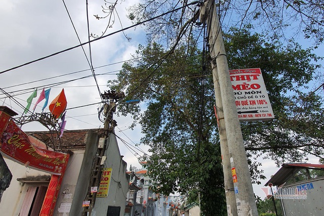 L&agrave;ng doanh nh&acirc;n nức tiếng một thời, bất ngờ biến th&agrave;nh l&agrave;ng tiểu hổ - 5