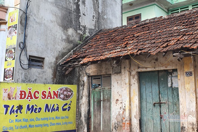 L&agrave;ng doanh nh&acirc;n nức tiếng một thời, bất ngờ biến th&agrave;nh l&agrave;ng tiểu hổ - 6