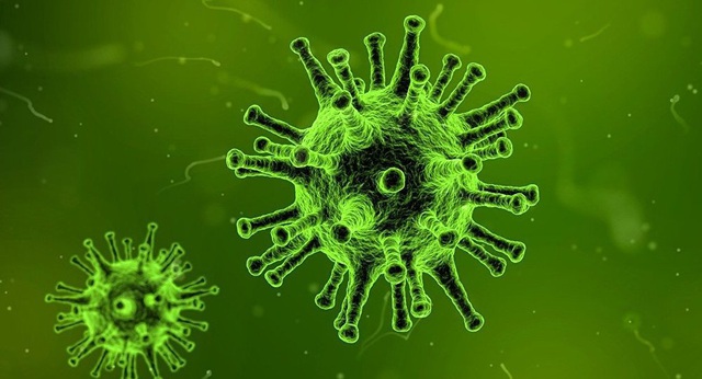 Các loại virus cổ xưa bí ẩn được tìm thấy ở sông băng Tây Tạng 15.000 năm tuổi - 1 Các loại virus cổ xưa bí ẩn được tìm thấy ở sông băng Tây Tạng 15.000 năm tuổi - 1
