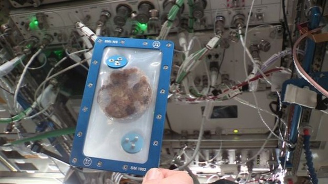 Những chiếc bánh quy đầu tiên được nướng trong không gian - 2