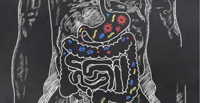 Vi khuẩn đường ruột có thể định hình tính cách của bạn - 1