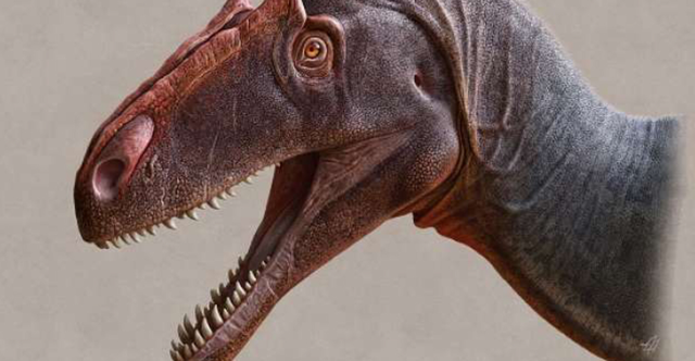 Chính thức công nhận loài khủng long ăn thịt khổng lồ mới - 1