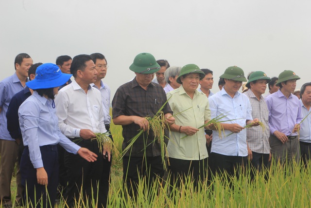 Bàn giao nhiệm vụ Chủ tịch UBND tỉnh Quảng Trị cho ông Hà Sỹ Đồng - 1 Bàn giao nhiệm vụ Chủ tịch UBND tỉnh Quảng Trị cho ông Hà Sỹ Đồng - 1