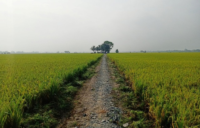 “Ao thần” hàng trăm năm chưa bao giờ cạn nước - 2 “Ao thần” hàng trăm năm chưa bao giờ cạn nước - 2
