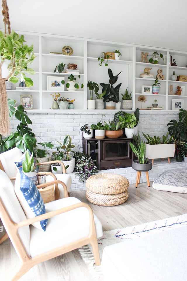 Lạ mắt với ng&ocirc;i nh&agrave; trồng hơn 100 loại c&acirc;y xanh, ai nh&igrave;n cũng m&ecirc; mẩn - 2