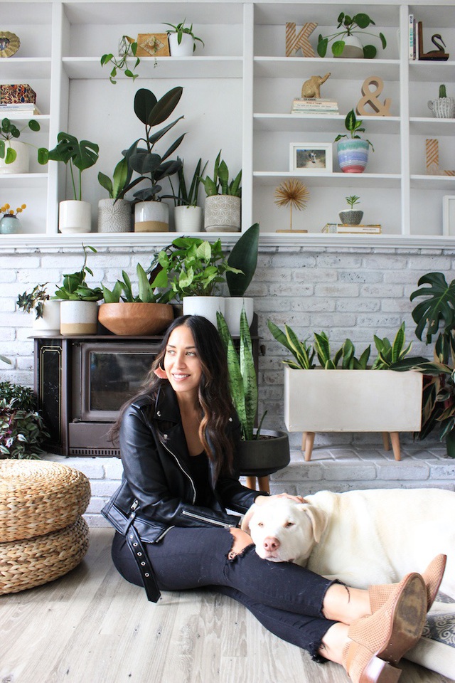 Lạ mắt với ng&ocirc;i nh&agrave; trồng hơn 100 loại c&acirc;y xanh, ai nh&igrave;n cũng m&ecirc; mẩn - 3