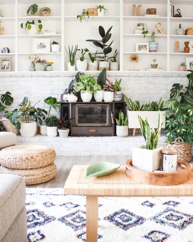 Lạ mắt với ng&ocirc;i nh&agrave; trồng hơn 100 loại c&acirc;y xanh, ai nh&igrave;n cũng m&ecirc; mẩn - 4