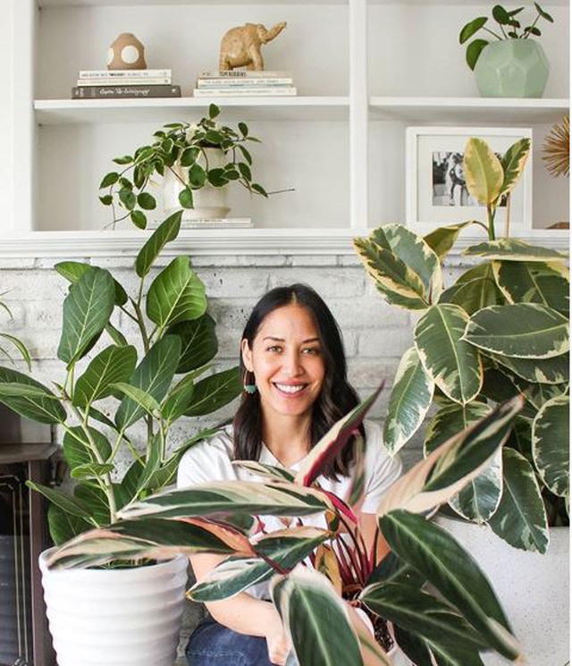 Lạ mắt với ng&ocirc;i nh&agrave; trồng hơn 100 loại c&acirc;y xanh, ai nh&igrave;n cũng m&ecirc; mẩn - 8