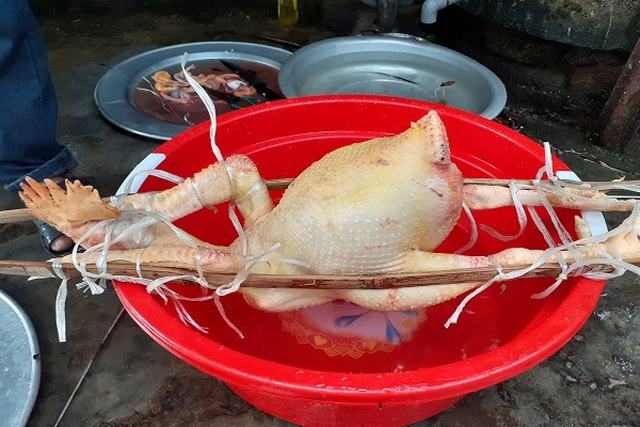 Những mâm cỗ gà chầu vô cùng độc đáo ngày Rằm tháng Giêng - 1 Những mâm cỗ gà chầu vô cùng độc đáo ngày Rằm tháng Giêng - 1