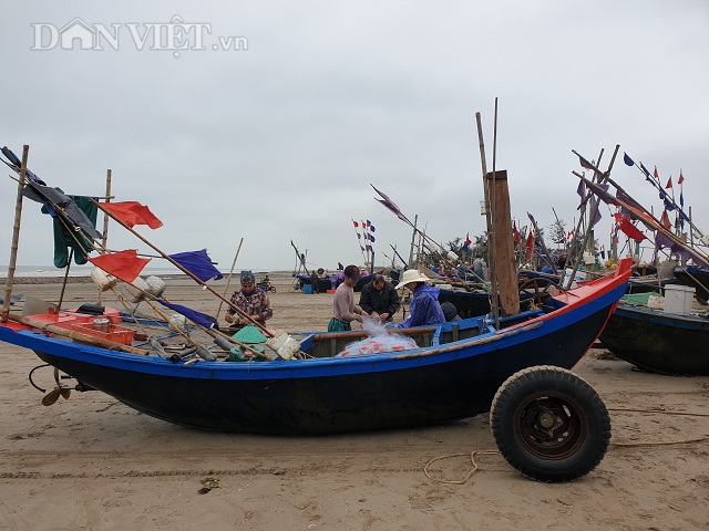 Nam Định: Ra biển kéo lưới trúng đậm tôm hung dữ toàn con to bự - 5 Nam Định: Ra biển kéo lưới trúng đậm tôm hung dữ toàn con to bự - 5