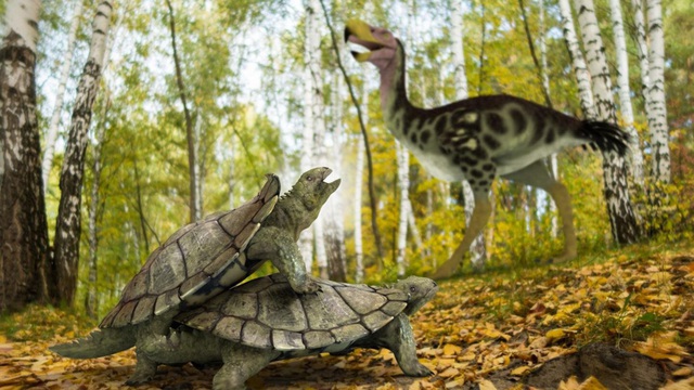 Phát hiện dạng sống kỳ quái của loài rùa đất cổ đại - 1