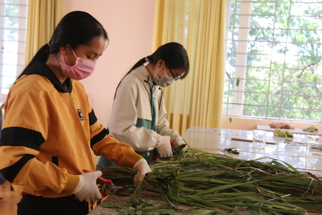 Hai nữ sinh lớp 11 chế dung dịch sát khuẩn từ loại cây mọc dại - 2 Hai nữ sinh lớp 11 chế dung dịch sát khuẩn từ loại cây mọc dại - 2