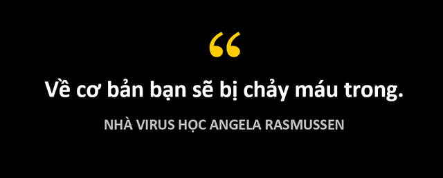 Virus corona mới tàn phá các bộ phận trên cơ thể như thế nào? - 7 Virus corona mới tàn phá các bộ phận trên cơ thể như thế nào? - 7