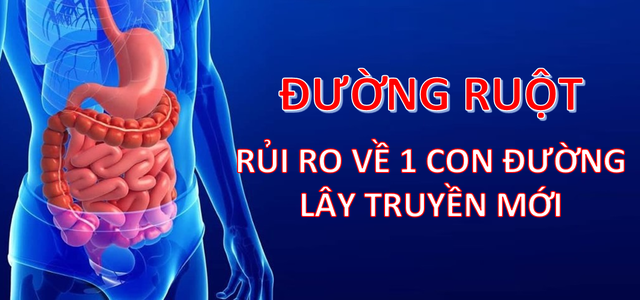 Virus corona mới tàn phá các bộ phận trên cơ thể như thế nào? - 4 Virus corona mới tàn phá các bộ phận trên cơ thể như thế nào? - 4