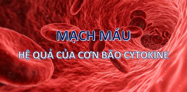 Virus corona mới tàn phá các bộ phận trên cơ thể như thế nào? - 6 Virus corona mới tàn phá các bộ phận trên cơ thể như thế nào? - 6