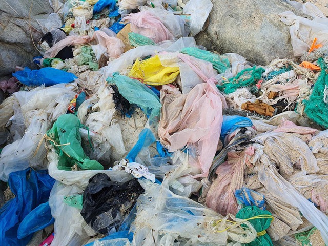 Hàng trăm người thu gom 30 tấn rác, giải cứu bãi biển xinh đẹp - 3