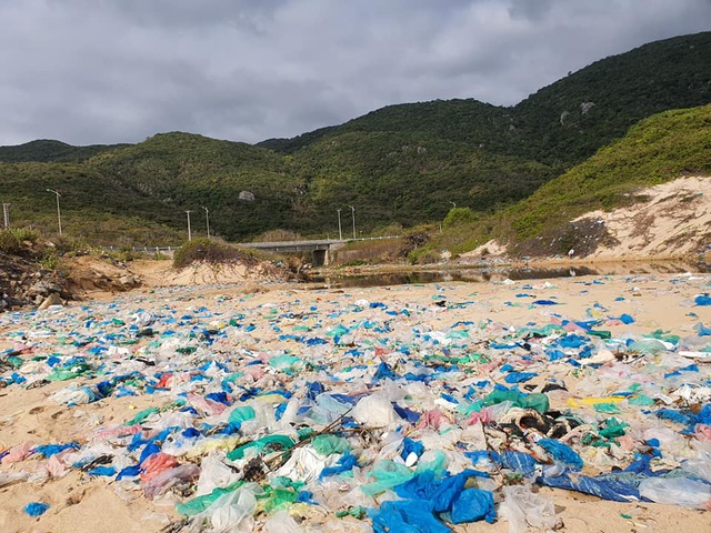 Hàng trăm người thu gom 30 tấn rác, giải cứu bãi biển xinh đẹp - 4