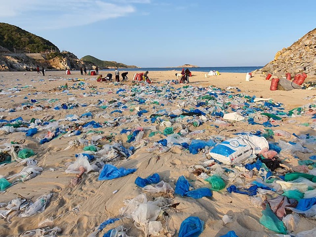Hàng trăm người thu gom 30 tấn rác, giải cứu bãi biển xinh đẹp - 2