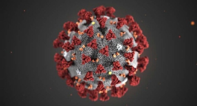 Các nhà khoa học khám phá ra bí mật lây nhiễm của coronavirus - 1