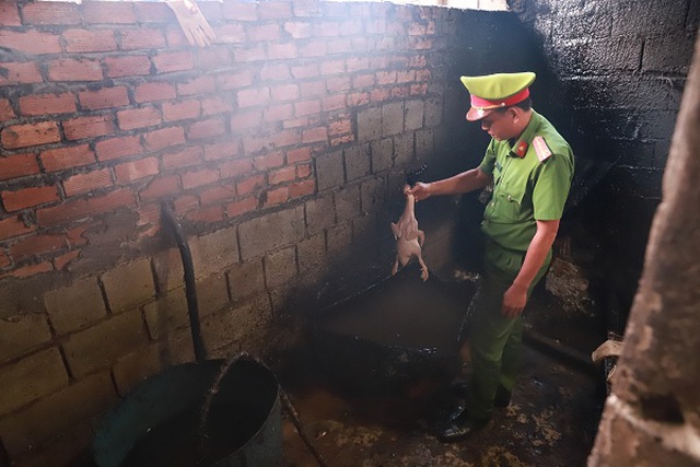 Bắt quả tang cơ sở đun nóng nhựa đường để nhúng vịt - 1 Bắt quả tang cơ sở đun nóng nhựa đường để nhúng vịt - 1
